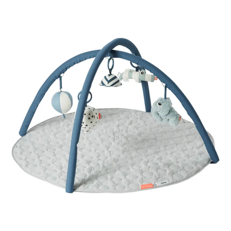 Play Gym
