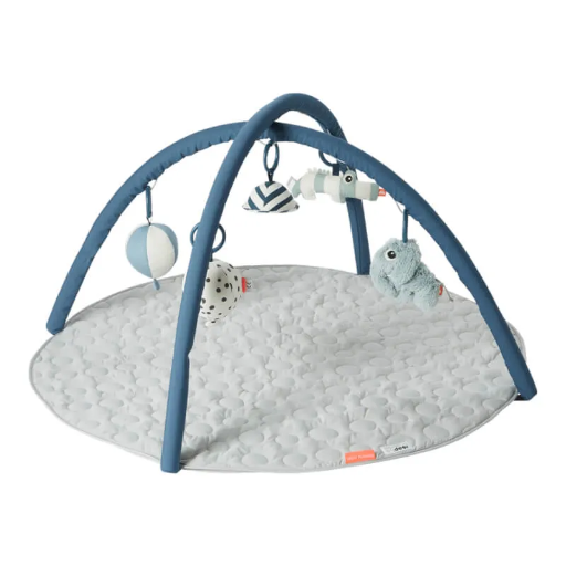 Play Gym